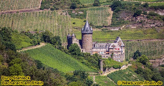 Die Burg Stahleck befindet sich oberhalb von Bacharach und ist von Weinbergen umgeben.